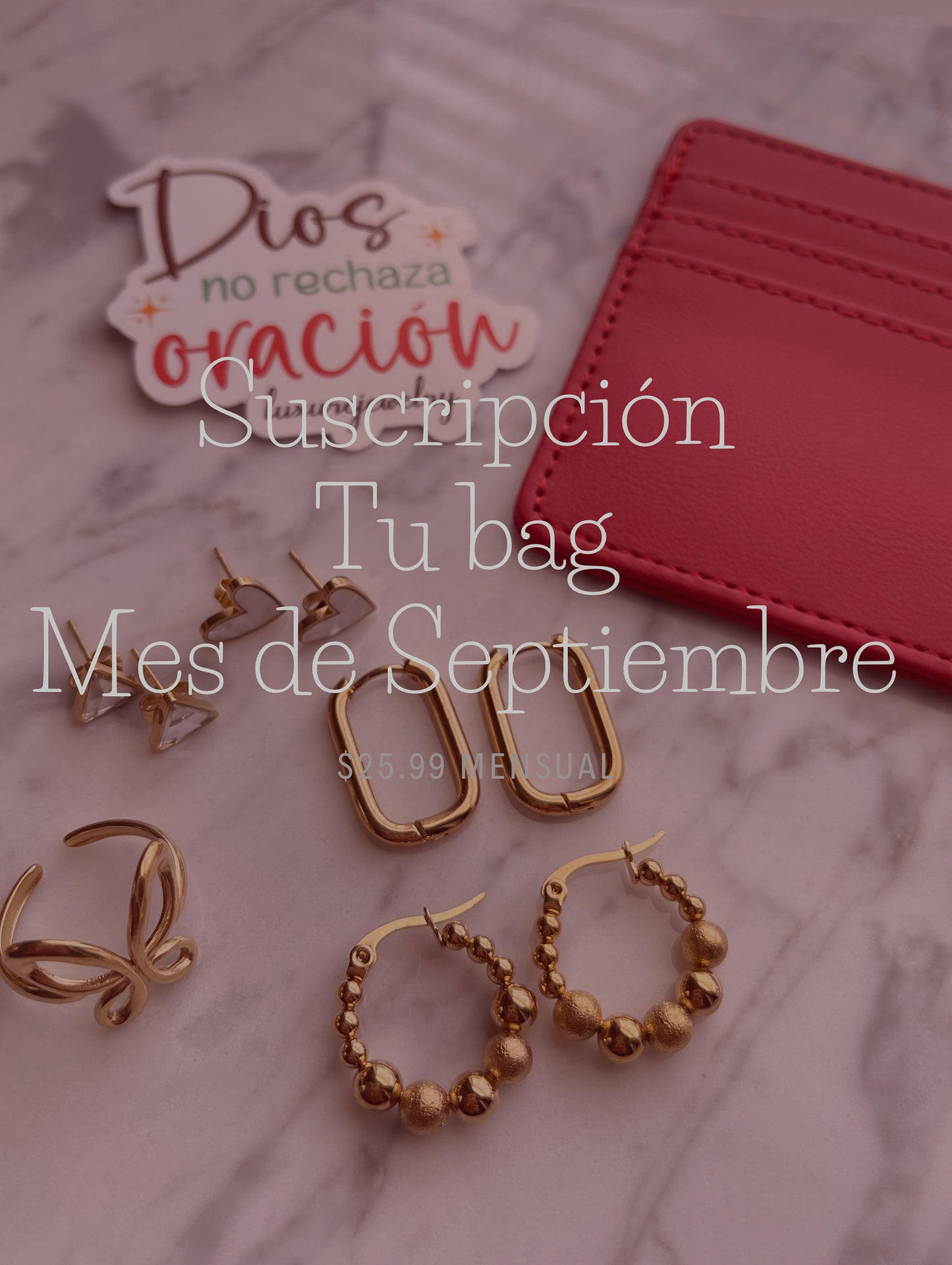 Suscripción TU BAG✨