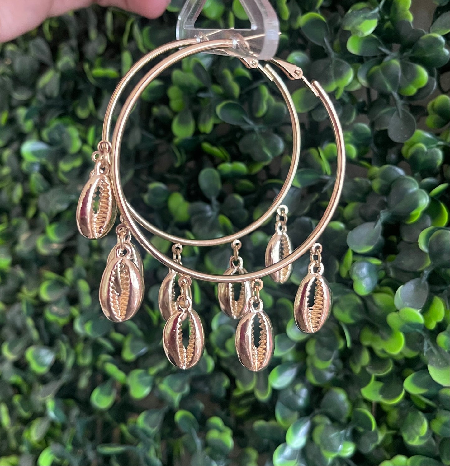 Hoops concha