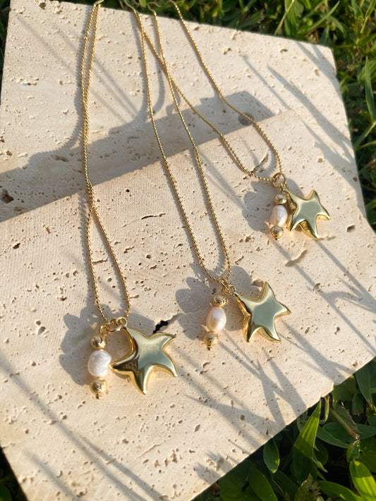 Estrella de mar